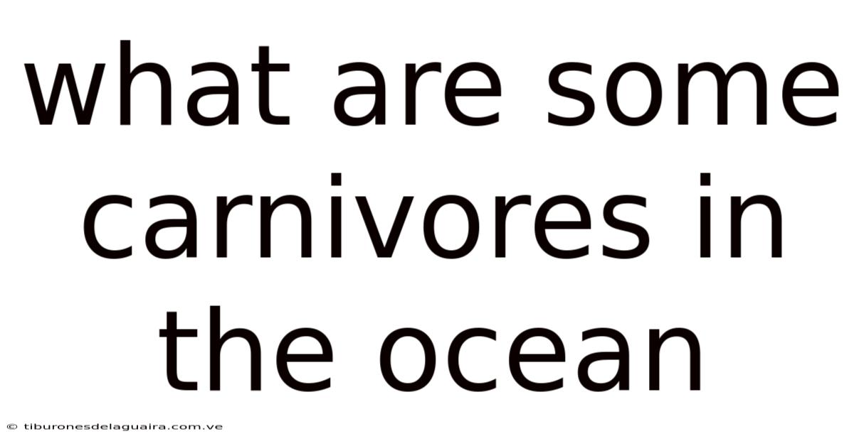 What Are Some Carnivores In The Ocean