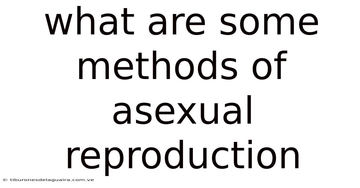 What Are Some Methods Of Asexual Reproduction