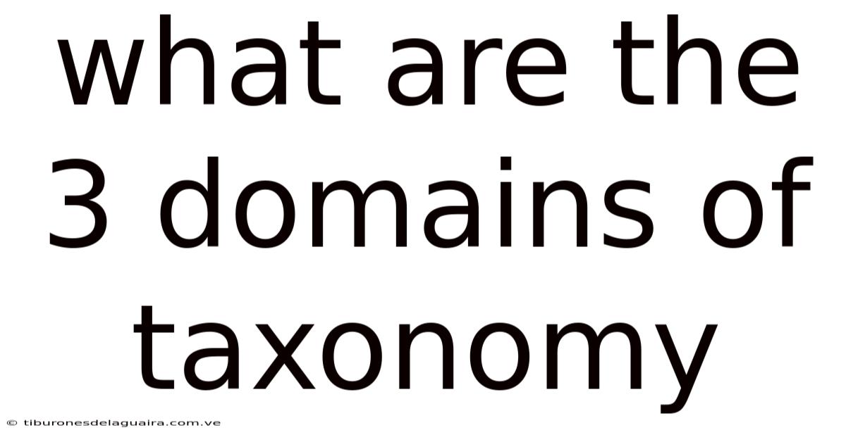 What Are The 3 Domains Of Taxonomy