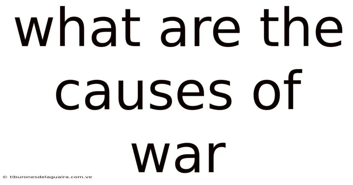 What Are The Causes Of War