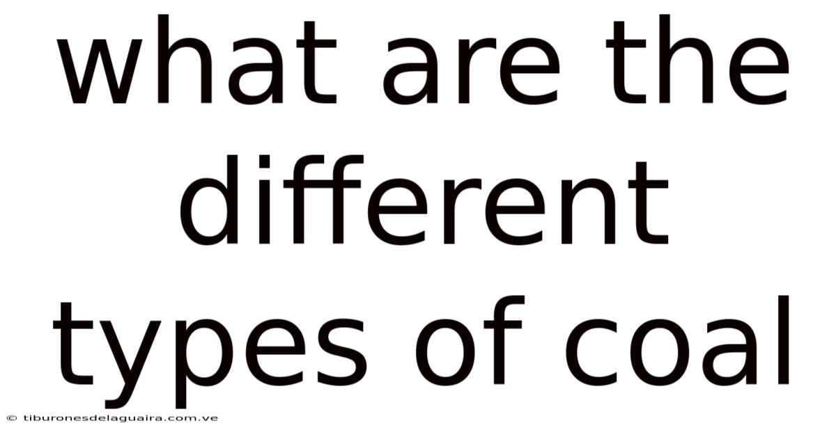 What Are The Different Types Of Coal