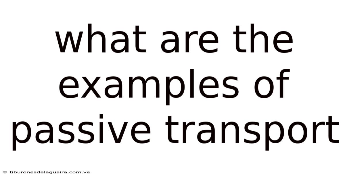 What Are The Examples Of Passive Transport