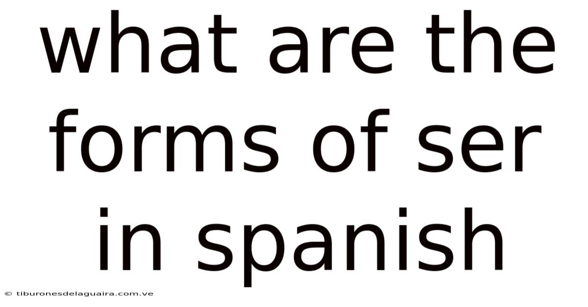 What Are The Forms Of Ser In Spanish