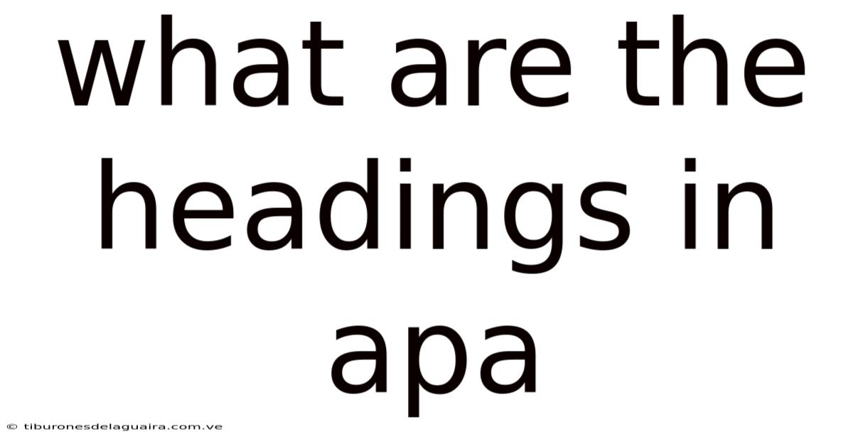 What Are The Headings In Apa