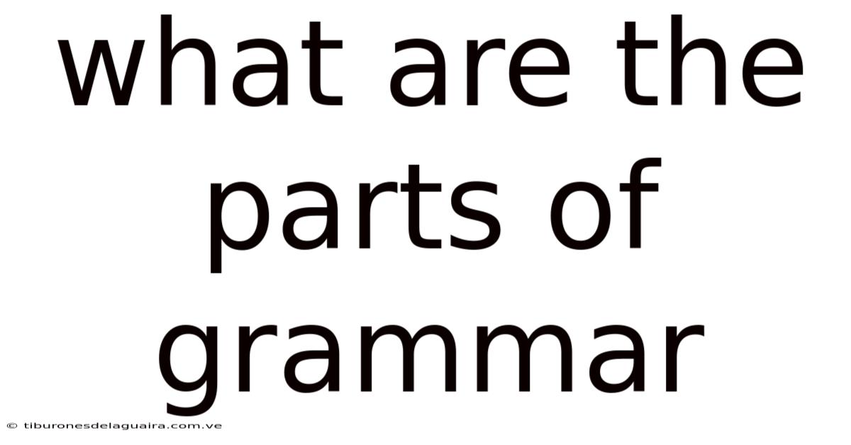 What Are The Parts Of Grammar