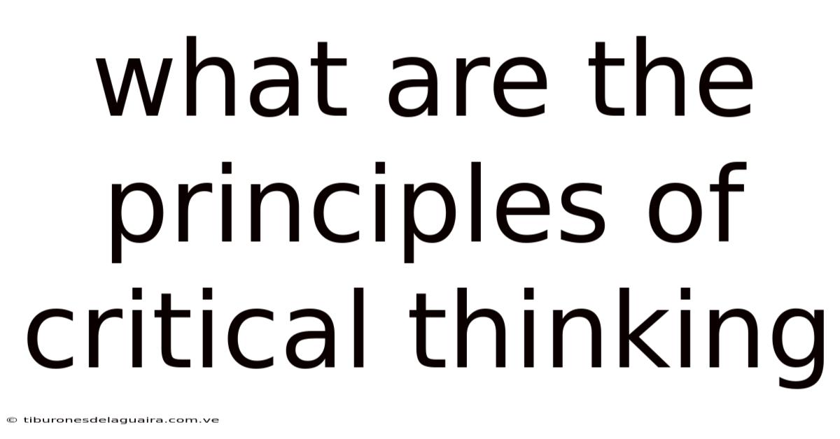 What Are The Principles Of Critical Thinking