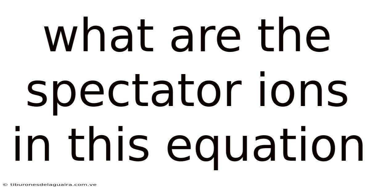 What Are The Spectator Ions In This Equation