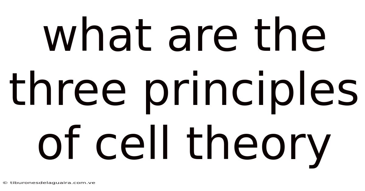 What Are The Three Principles Of Cell Theory