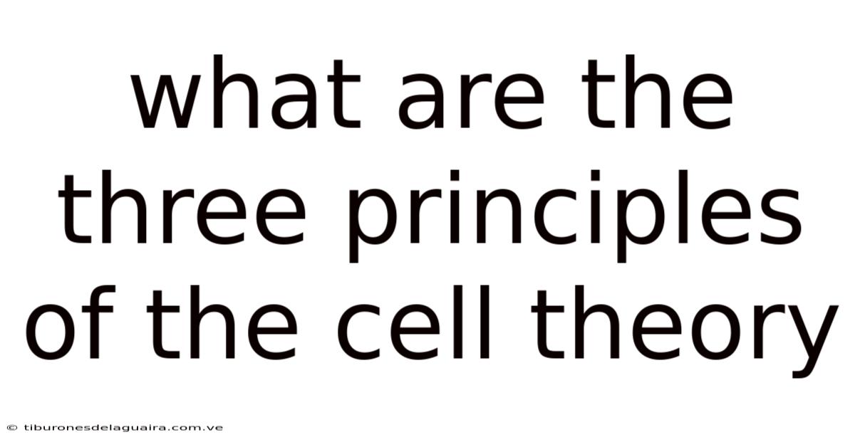 What Are The Three Principles Of The Cell Theory