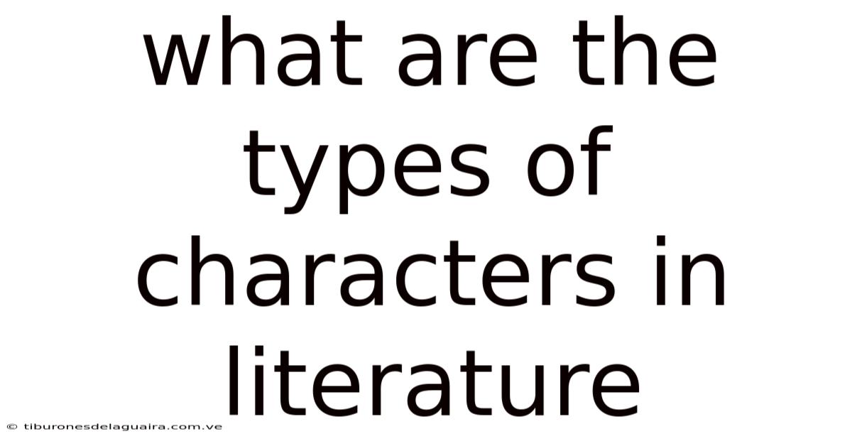What Are The Types Of Characters In Literature