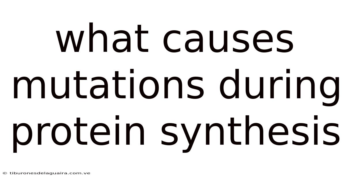 What Causes Mutations During Protein Synthesis