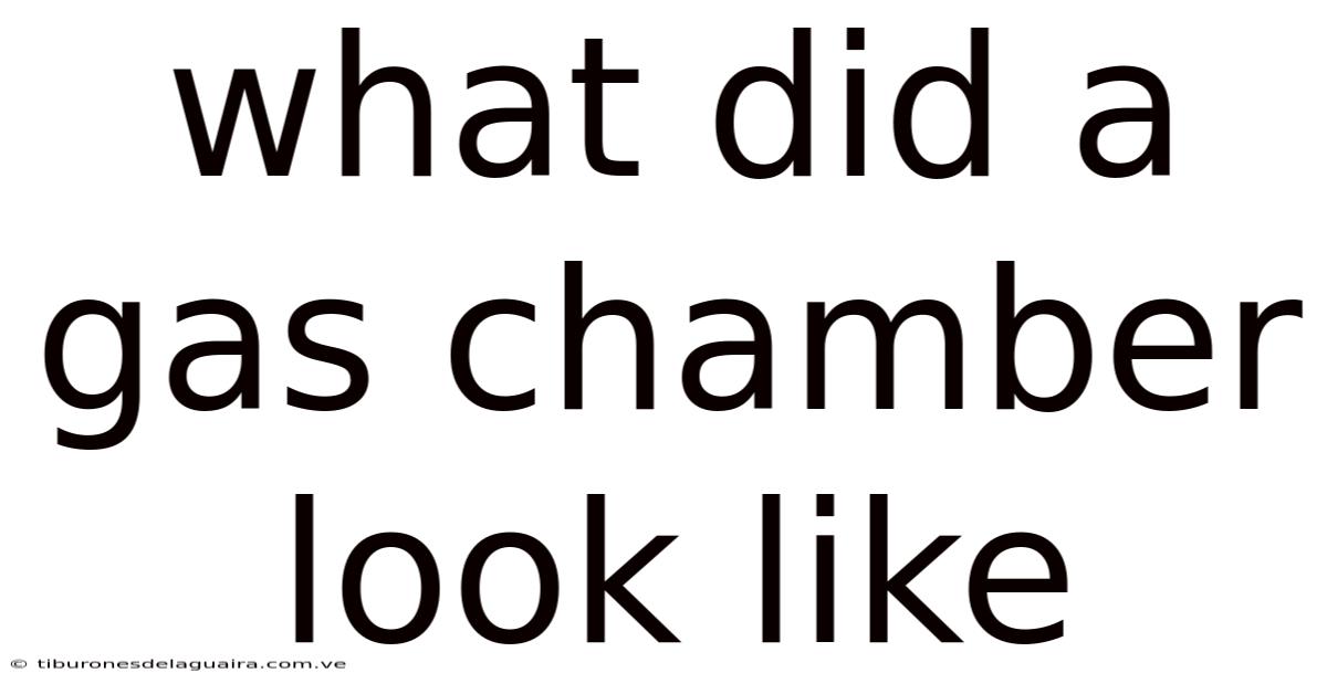 What Did A Gas Chamber Look Like