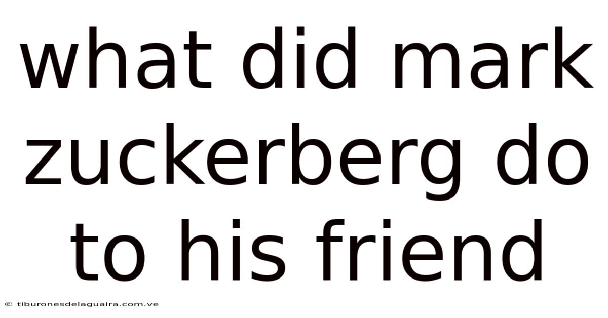 What Did Mark Zuckerberg Do To His Friend