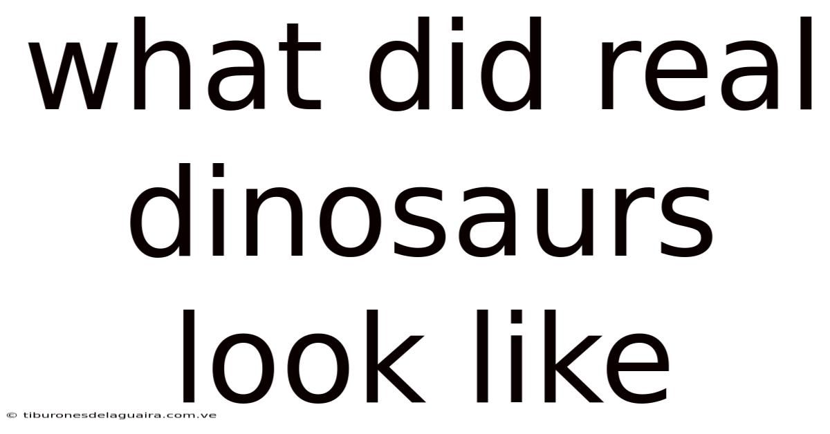 What Did Real Dinosaurs Look Like