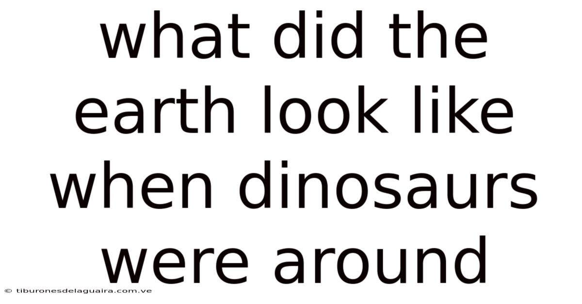 What Did The Earth Look Like When Dinosaurs Were Around