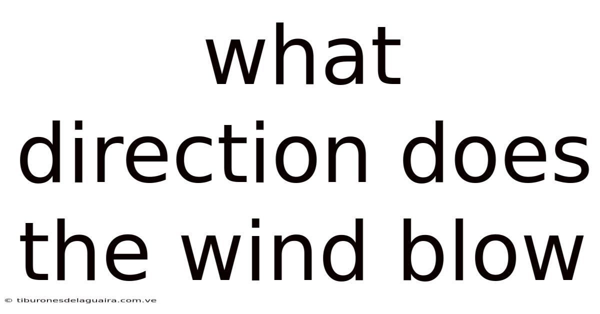 What Direction Does The Wind Blow