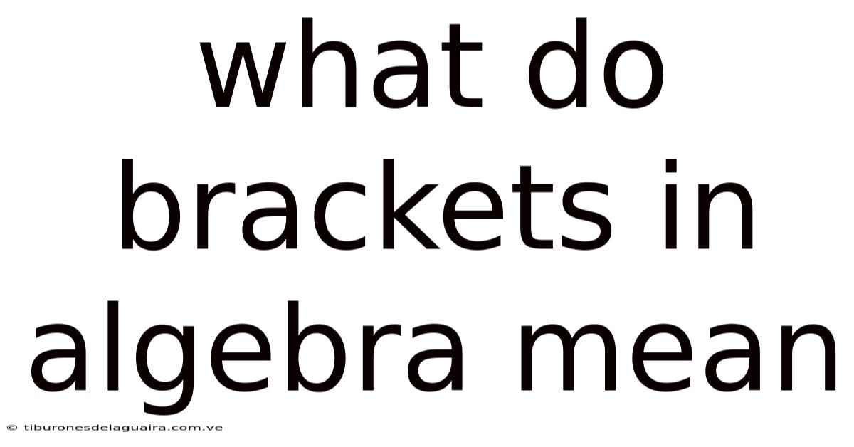 What Do Brackets In Algebra Mean