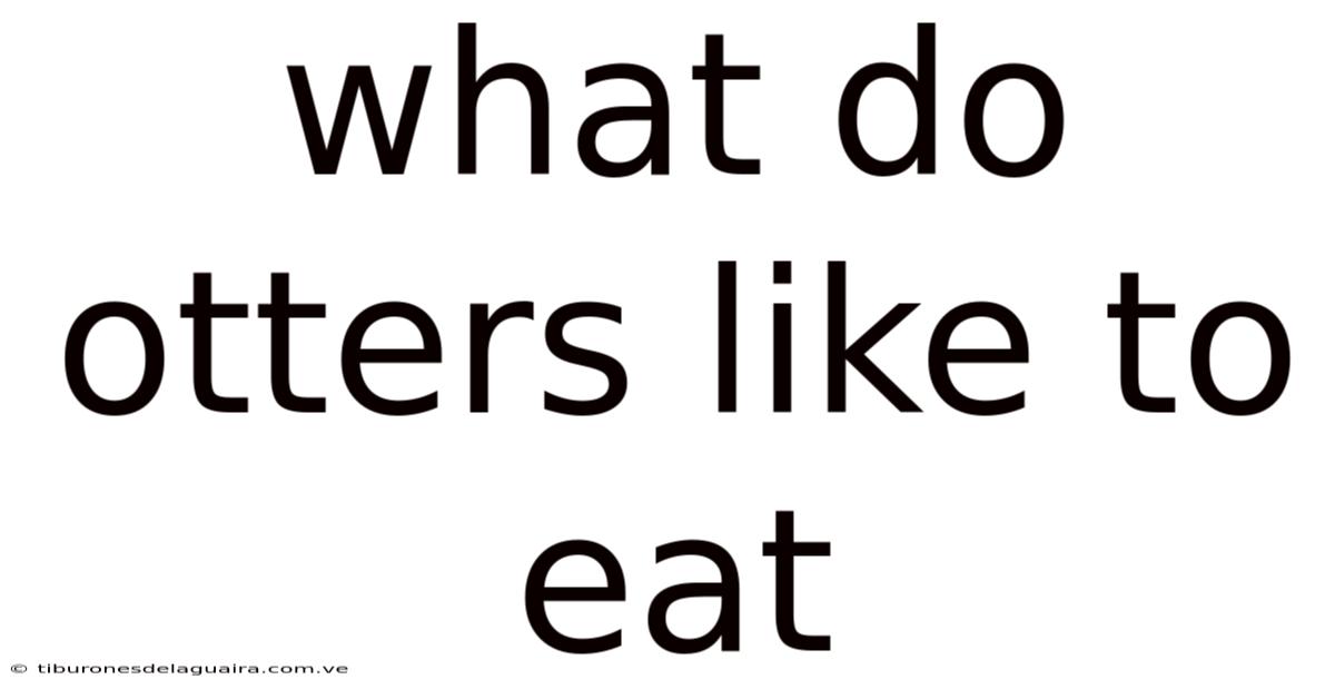 What Do Otters Like To Eat