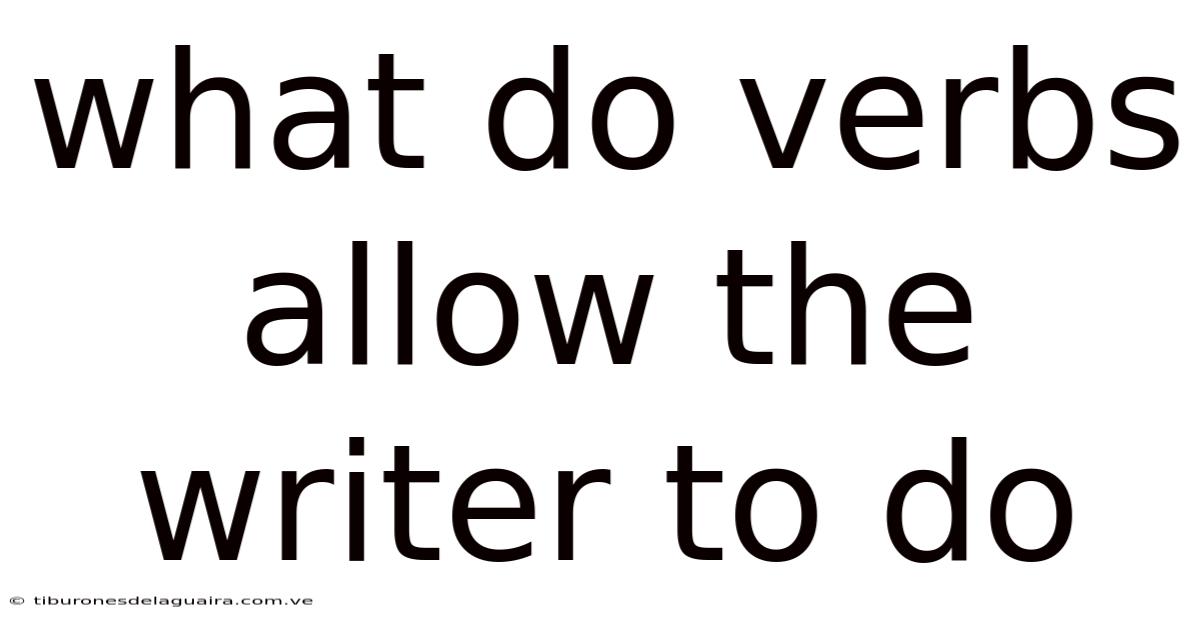 What Do Verbs Allow The Writer To Do