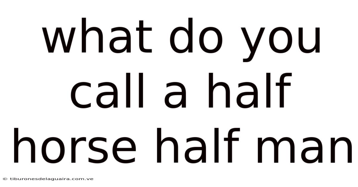 What Do You Call A Half Horse Half Man