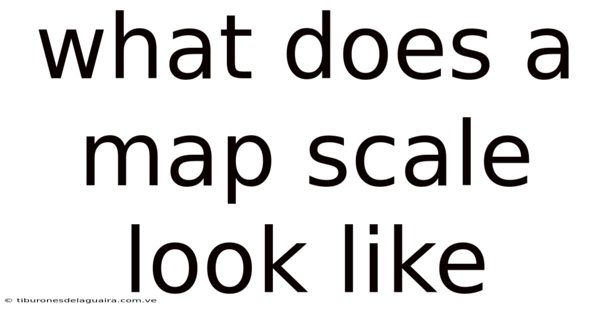 What Does A Map Scale Look Like