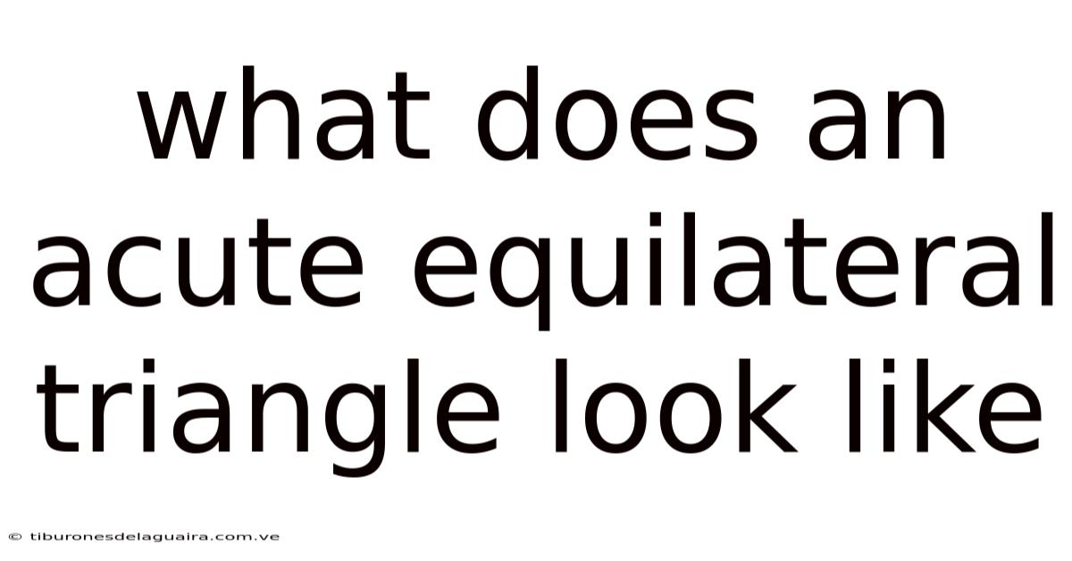 What Does An Acute Equilateral Triangle Look Like