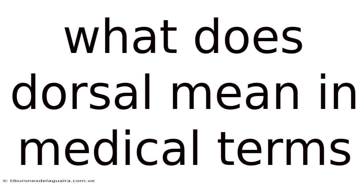 What Does Dorsal Mean In Medical Terms