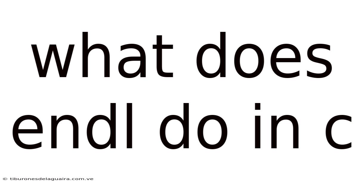 What Does Endl Do In C