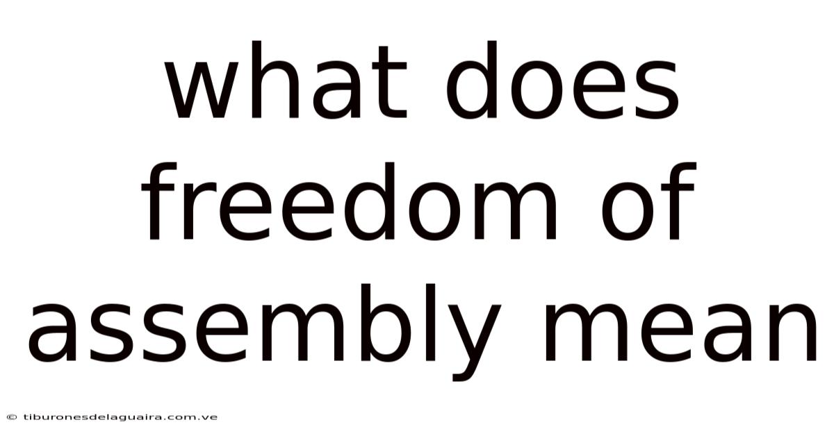 What Does Freedom Of Assembly Mean