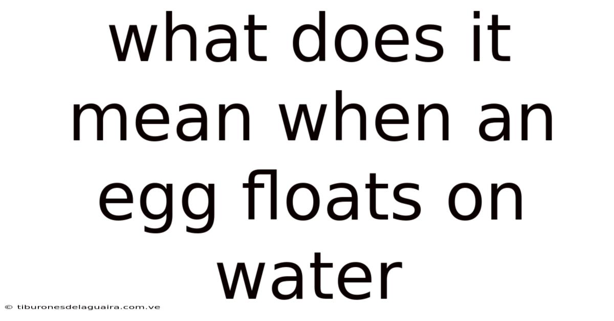 What Does It Mean When An Egg Floats On Water