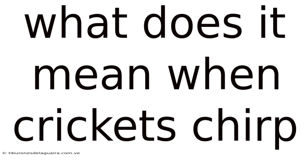 What Does It Mean When Crickets Chirp