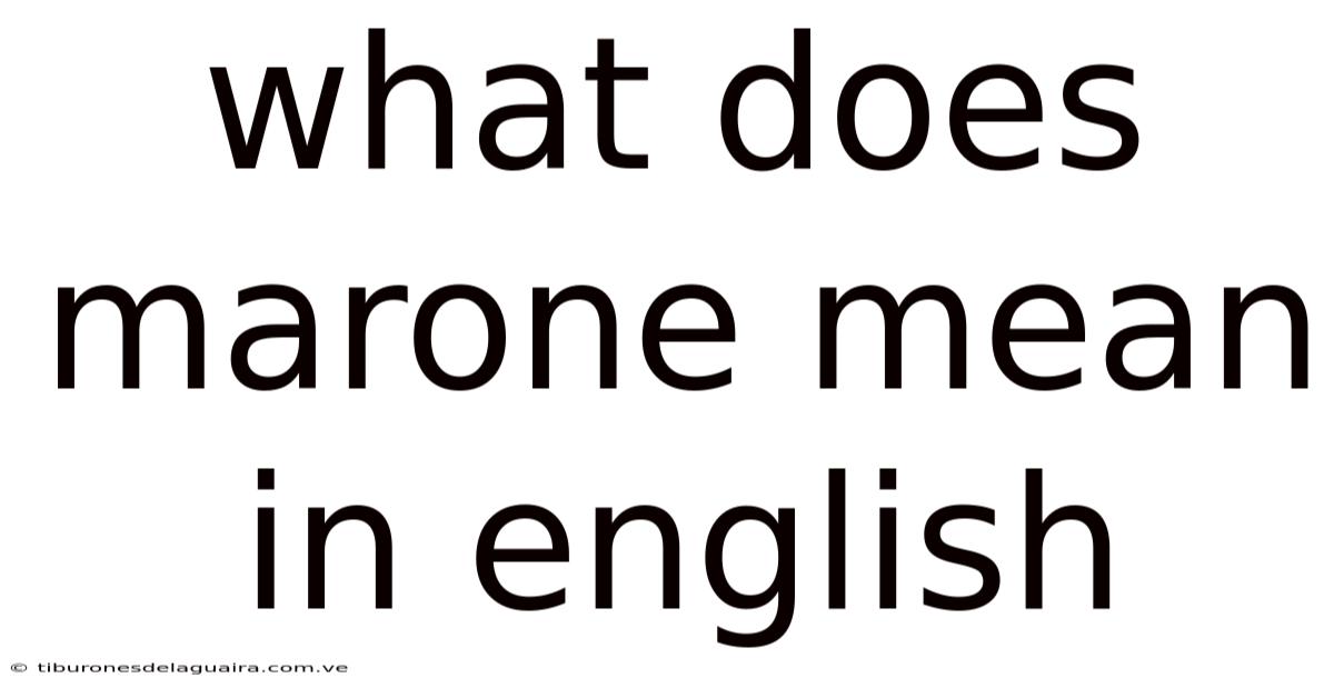 What Does Marone Mean In English