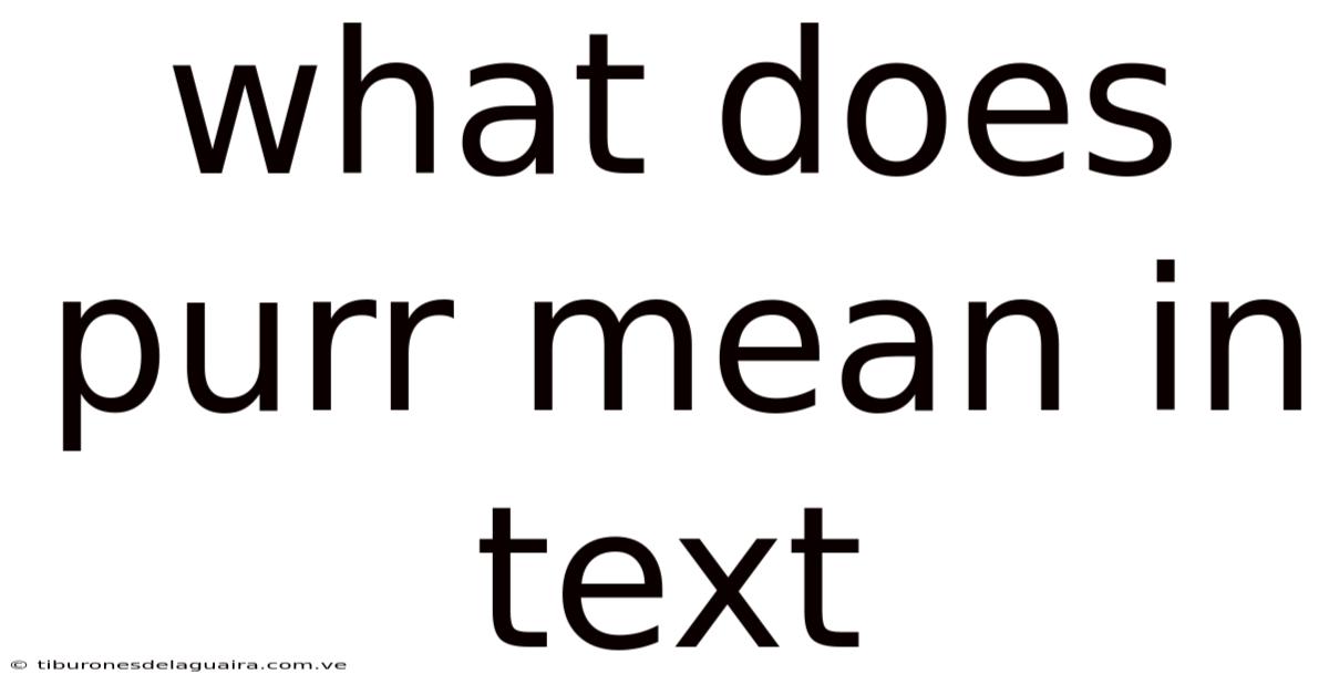 What Does Purr Mean In Text