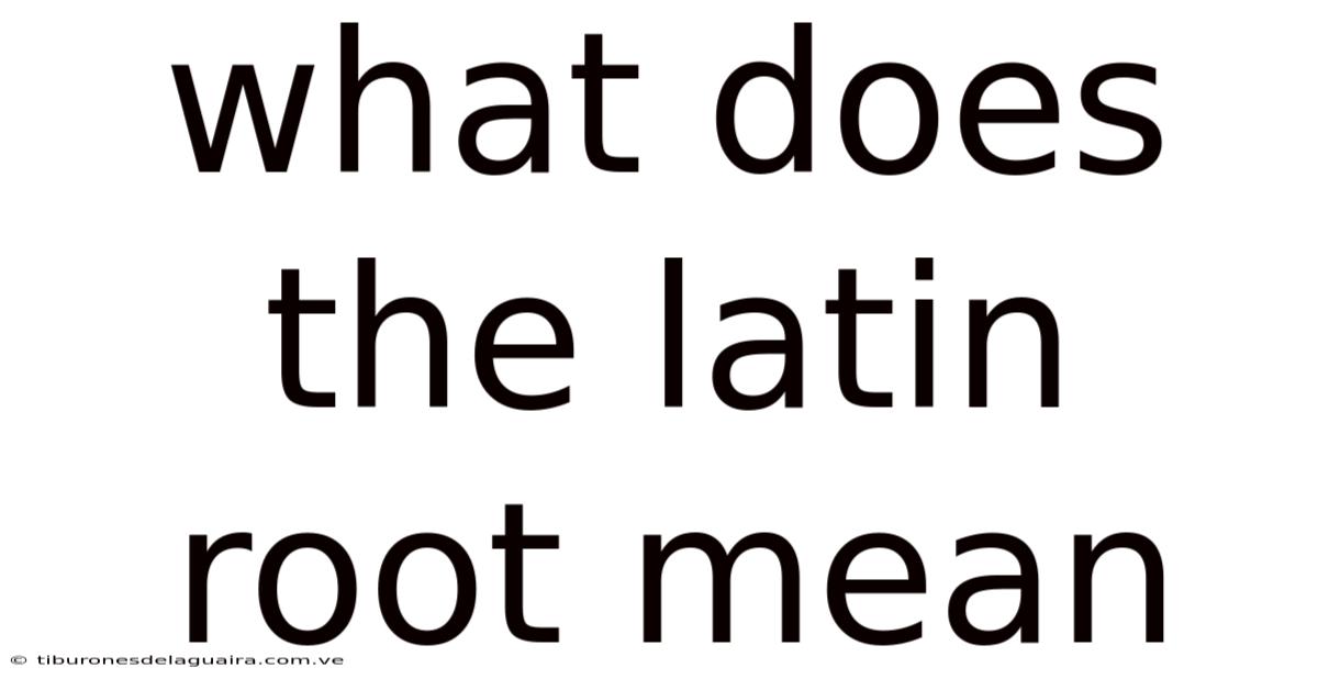 What Does The Latin Root Mean