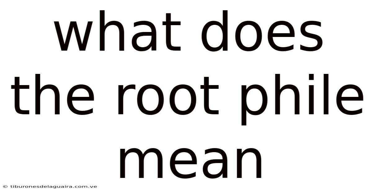What Does The Root Phile Mean