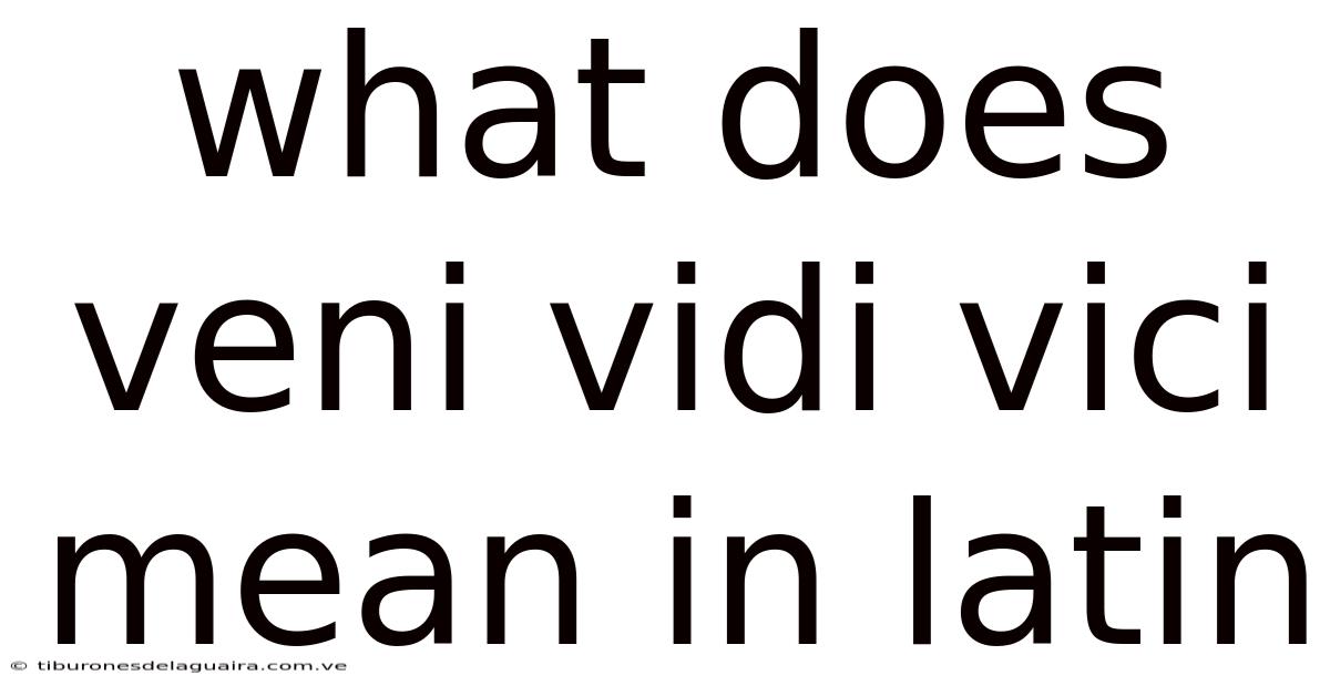 What Does Veni Vidi Vici Mean In Latin