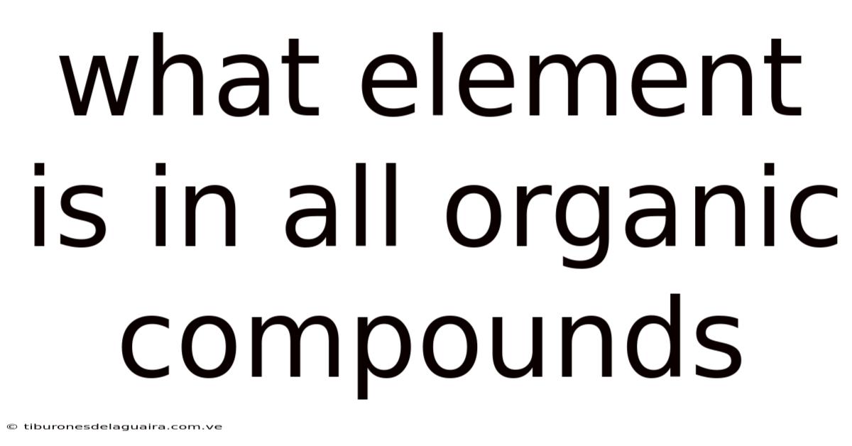 What Element Is In All Organic Compounds