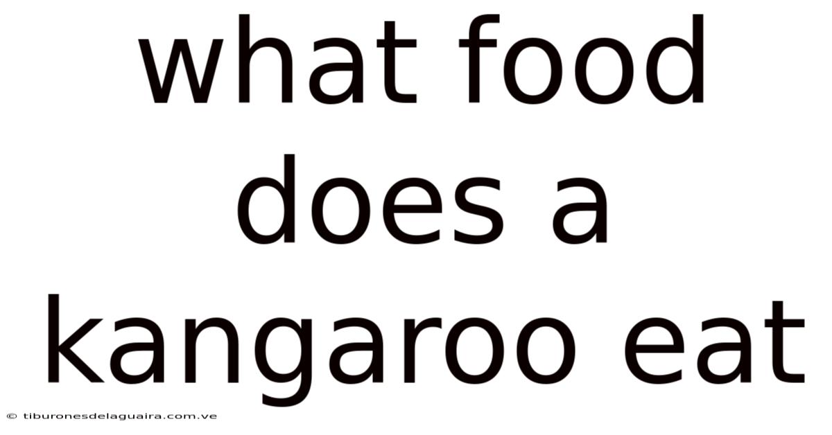 What Food Does A Kangaroo Eat