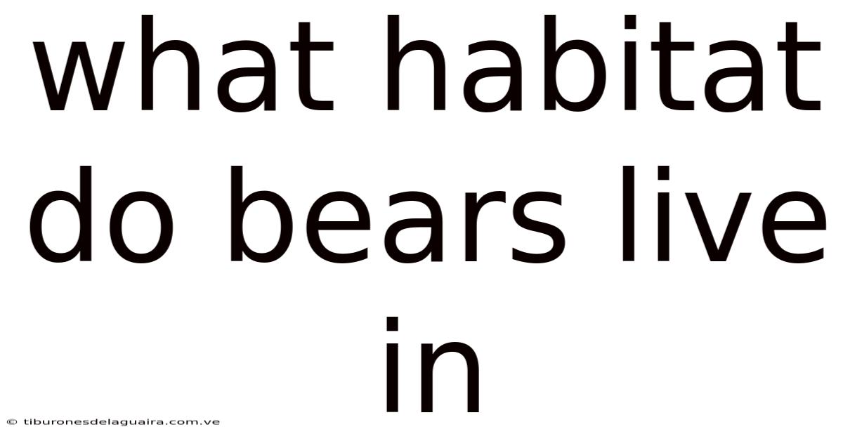 What Habitat Do Bears Live In
