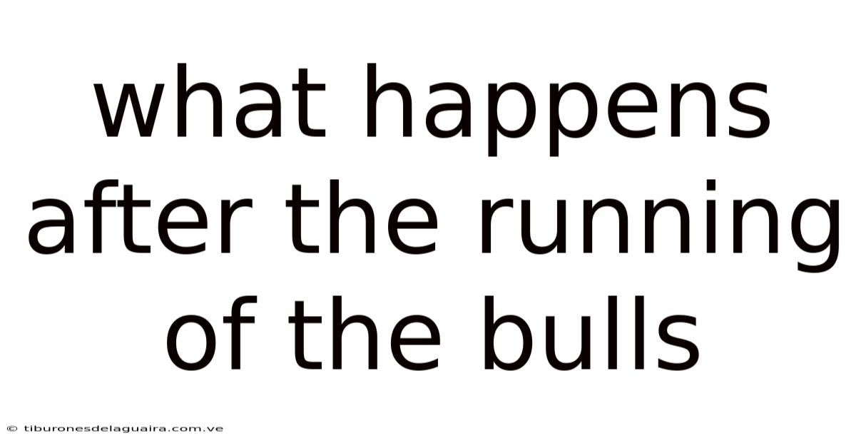 What Happens After The Running Of The Bulls