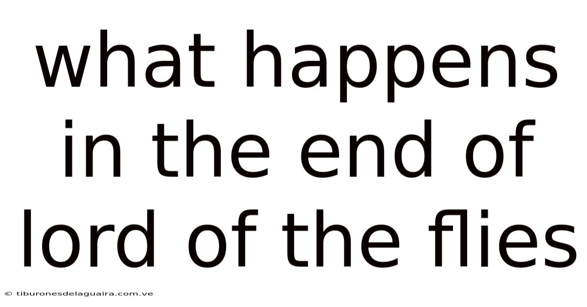 What Happens In The End Of Lord Of The Flies