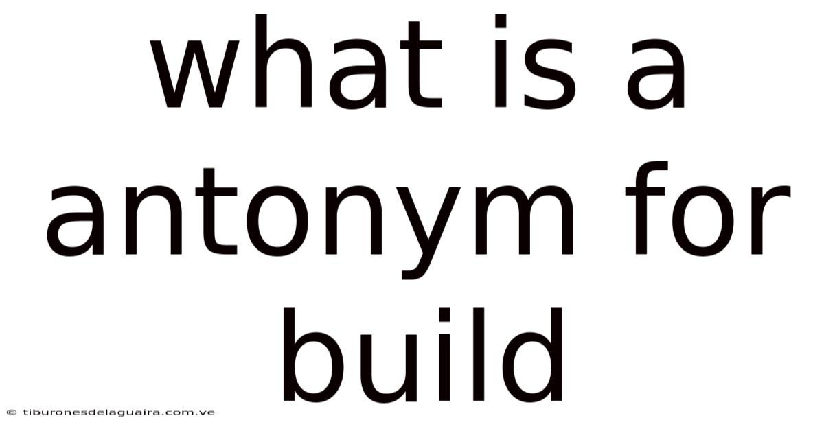 What Is A Antonym For Build