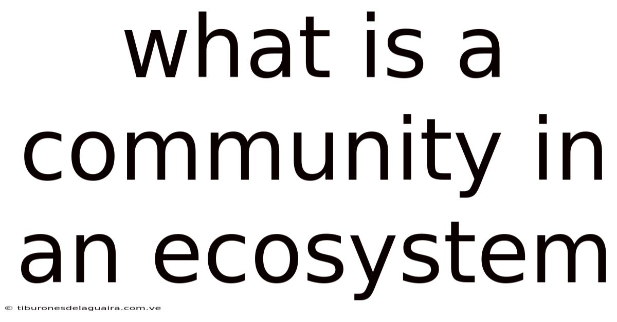 What Is A Community In An Ecosystem