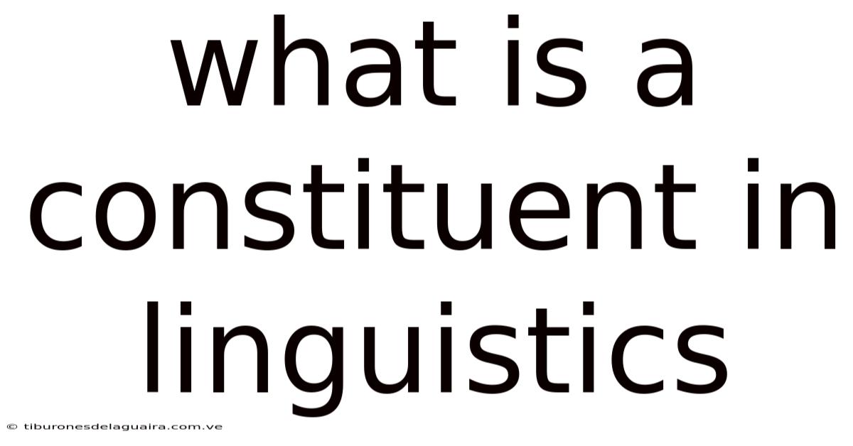 What Is A Constituent In Linguistics