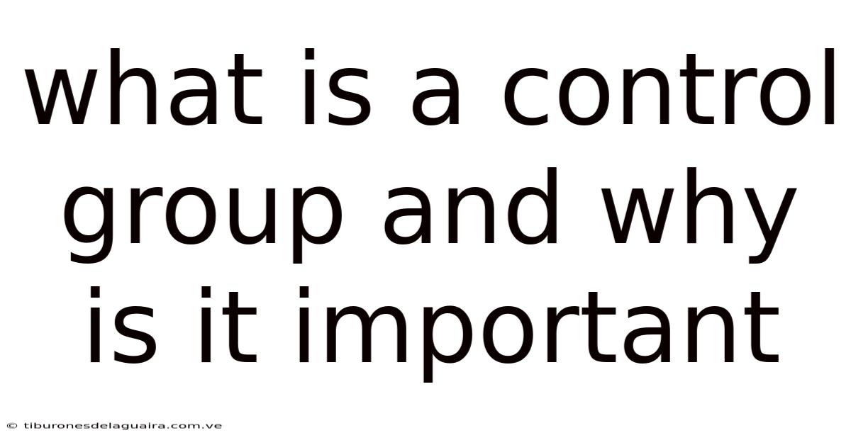 What Is A Control Group And Why Is It Important