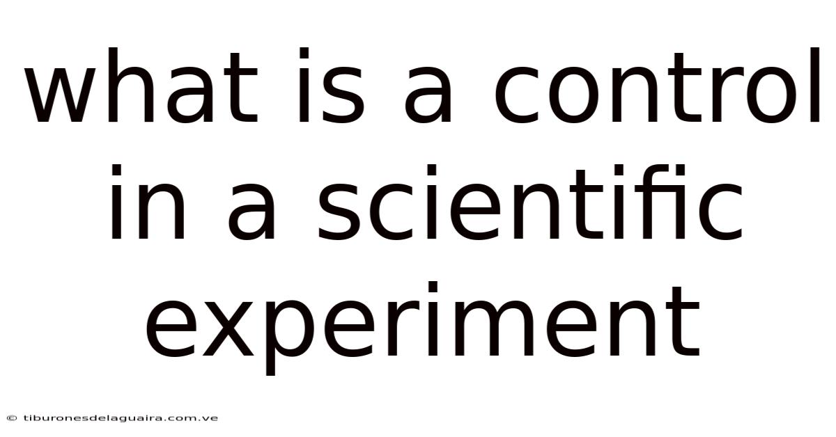 What Is A Control In A Scientific Experiment