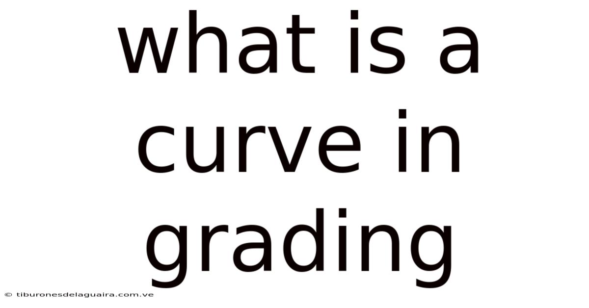 What Is A Curve In Grading