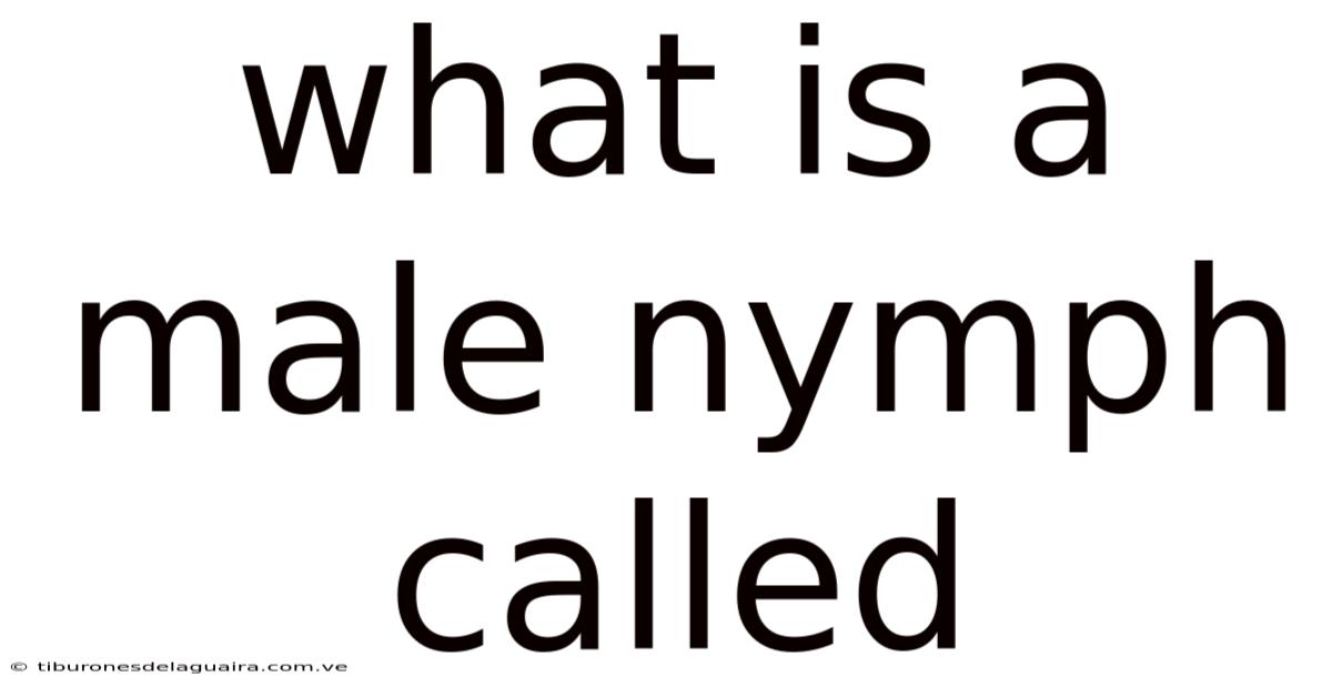 What Is A Male Nymph Called