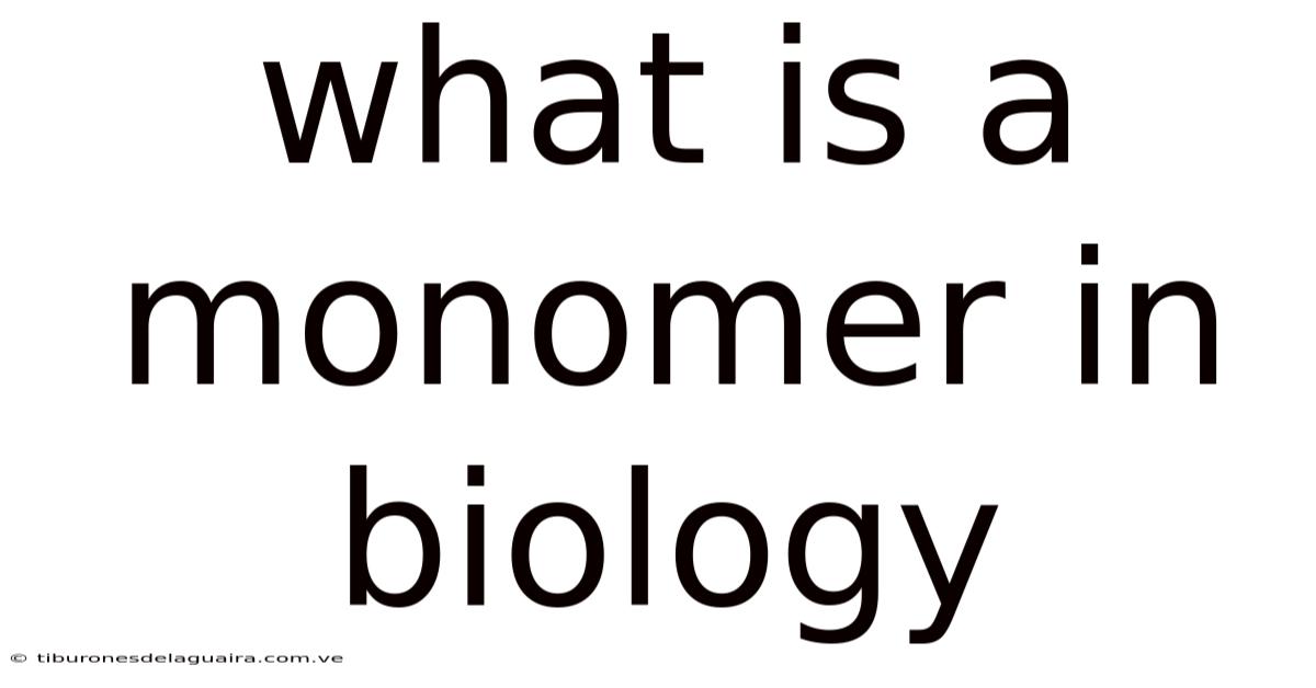 What Is A Monomer In Biology