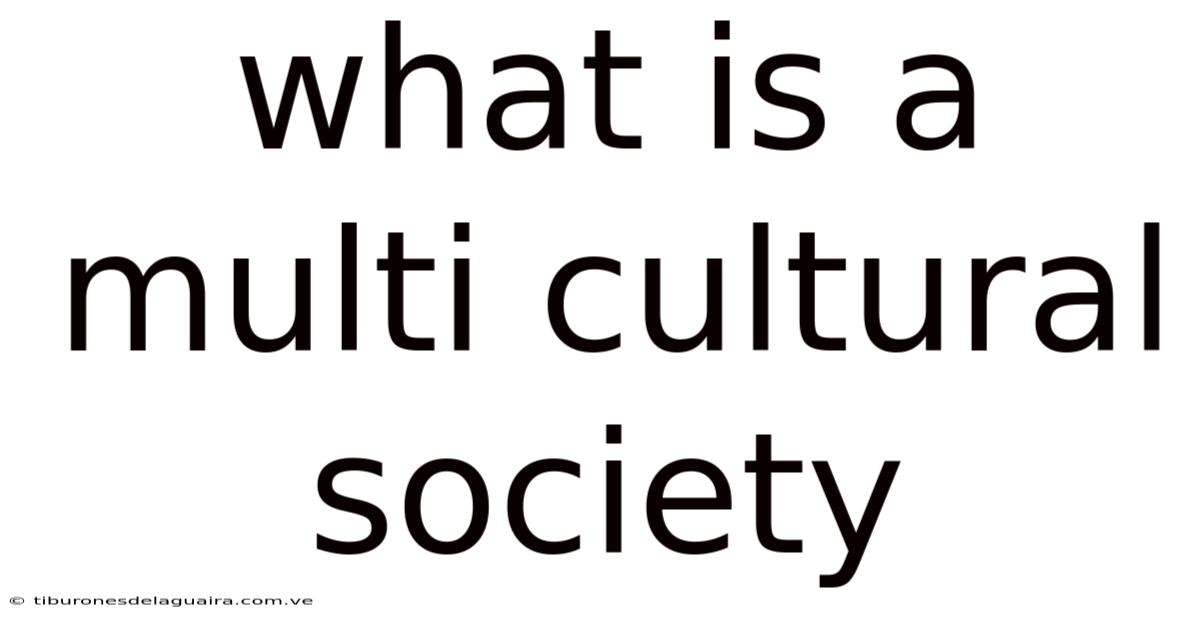 What Is A Multi Cultural Society